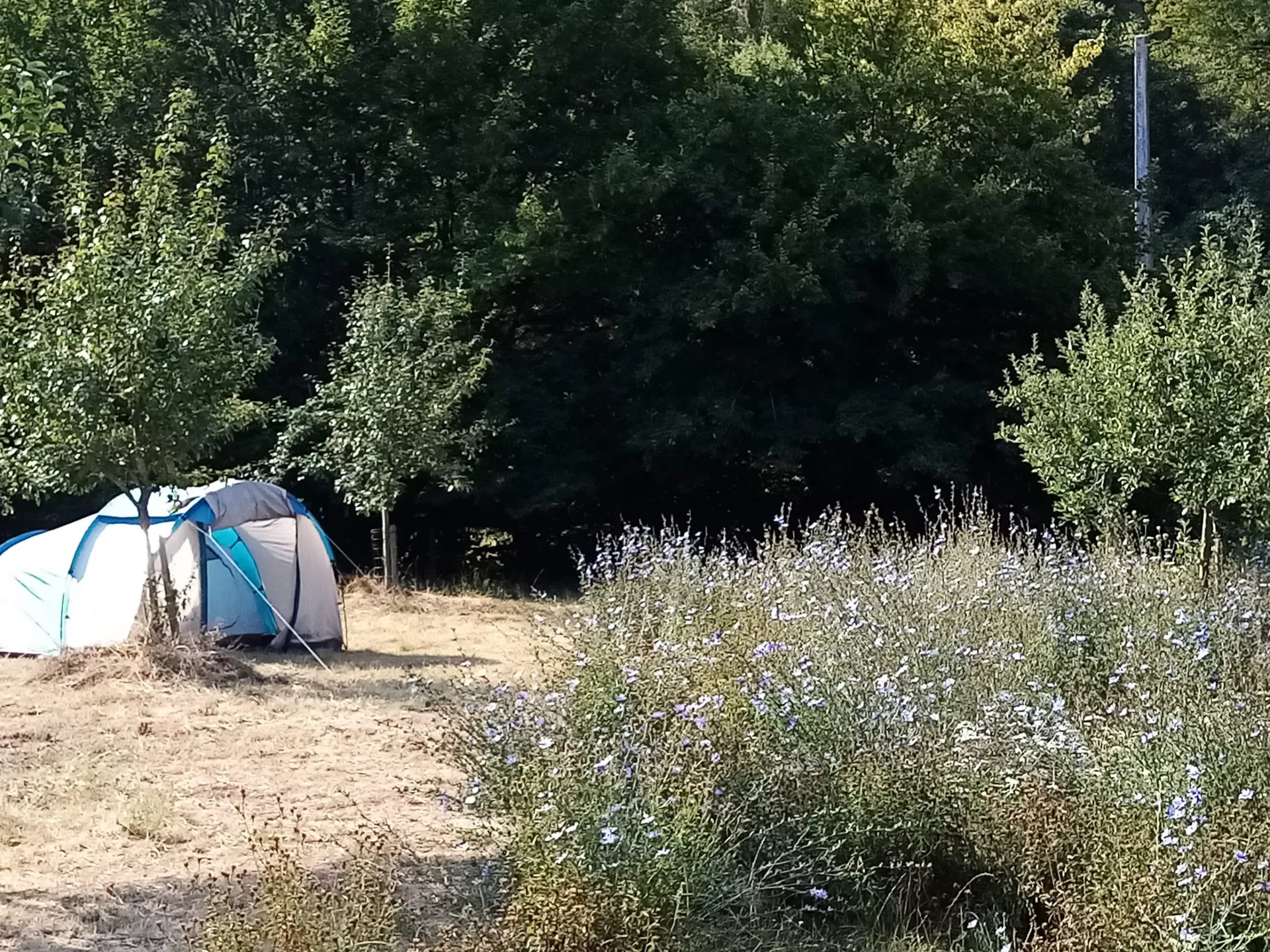 Camping à la ferme #